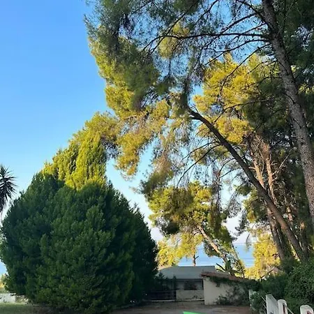 Hébergement de vacances Pine *